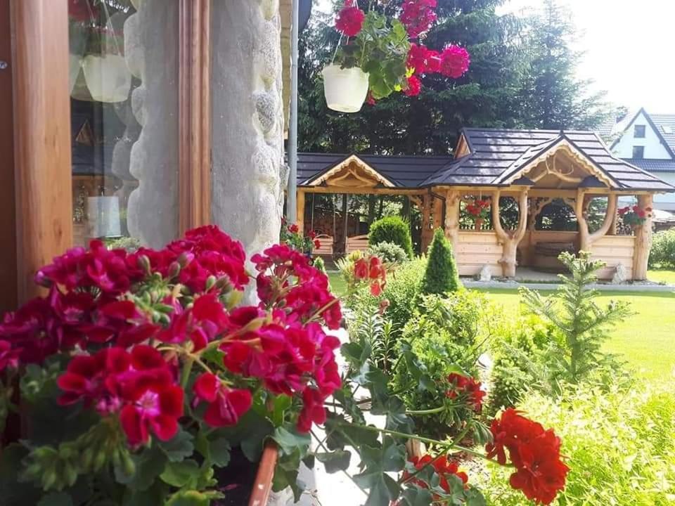 Magurskie Bywanie Witów Extérieur photo